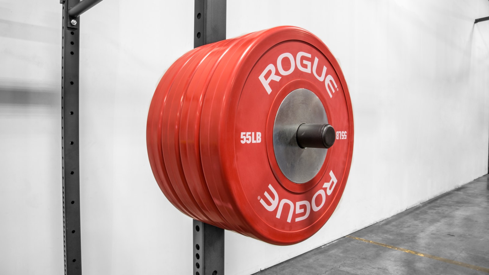 Rogue infinity vertical plate storage sales